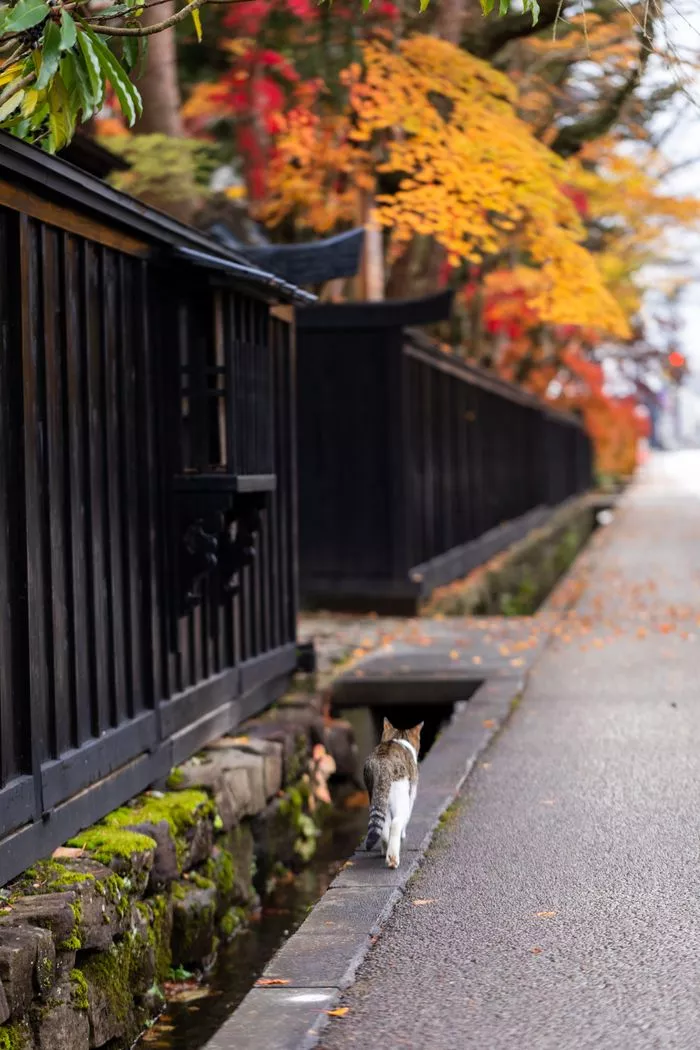 wCa0mPlpHdgRbkq0aFPl5aUHp33k5s5Jn7T3Gt1THLjerT4VNiRx9mYEyzDtHWq7w2mLyRqHryyU3RtiAsiXNjcJXaACkZ2ls1wFaKrgWN0=.webp wCa0mPlpHdgRbkq0aFPl5aUHp33k5s5Jn7T3Gt1THLjerT4VNiRx9mYEyzDtHWq7w2mLyRqHryyU3RtiAsiXNjcJXaACkZ2ls1wFaKrgWN0=.webp