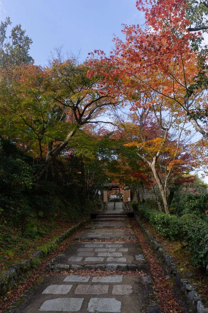 wCa0mPlpHdgRbkq0aFPl5bE90nI0Sl5TzhnEza58SXMBxoHUm8oJPpHmeKBWV6ILo18g3R1EoKmHjHT9UqUjI9oAXazDsRGsE9Yz80BL2zA=.webp wCa0mPlpHdgRbkq0aFPl5bE90nI0Sl5TzhnEza58SXMBxoHUm8oJPpHmeKBWV6ILo18g3R1EoKmHjHT9UqUjI9oAXazDsRGsE9Yz80BL2zA=.webp