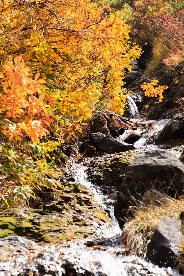 Lt1owZTUOvdghxOSe23gW6esUxQtLwGmLilzWTAiOL7mtFJ6tKs=.webp Lt1owZTUOvdghxOSe23gW6esUxQtLwGmLilzWTAiOL7mtFJ6tKs=.webp