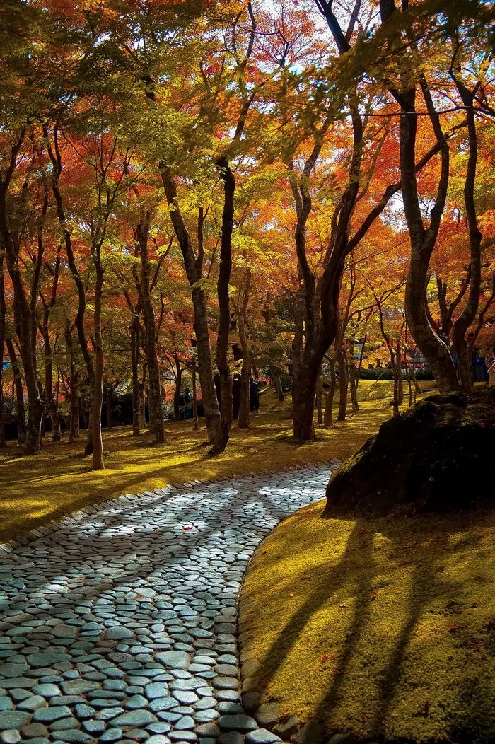 wCa0mPlpHdgRbkq0aFPl5SDUkXg2V6m91iykmtSit2VWzI6o8vMYVeEwR1eiXPWgo3FtRKIa8G9pnQXyjfxkSM9jFI08OnCJUZ0668XoZl4=.webp wCa0mPlpHdgRbkq0aFPl5SDUkXg2V6m91iykmtSit2VWzI6o8vMYVeEwR1eiXPWgo3FtRKIa8G9pnQXyjfxkSM9jFI08OnCJUZ0668XoZl4=.webp