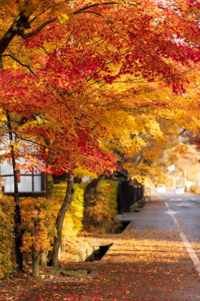 faZu6i+W3HqXJyxhJV9t4w+VXNUk=.webp faZu6i+W3HqXJyxhJV9t4w+VXNUk=.webp