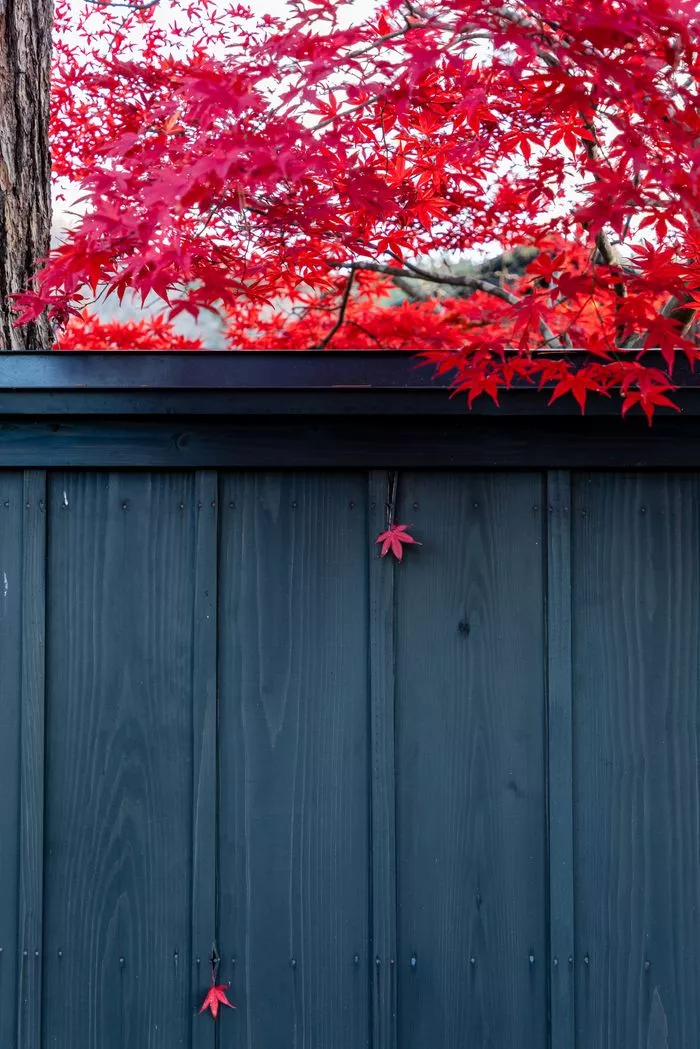 wCa0mPlpHdgRbkq0aFPl5ffqCw1EtNXD5nsbpXXUu7iUsUtc+GmA0kPiOi0dj87JD7iRYGW+ewmLk90Pz4K64HGPUYsEEIWCToXwqgdGtn0=.webp wCa0mPlpHdgRbkq0aFPl5ffqCw1EtNXD5nsbpXXUu7iUsUtc+GmA0kPiOi0dj87JD7iRYGW+ewmLk90Pz4K64HGPUYsEEIWCToXwqgdGtn0=.webp