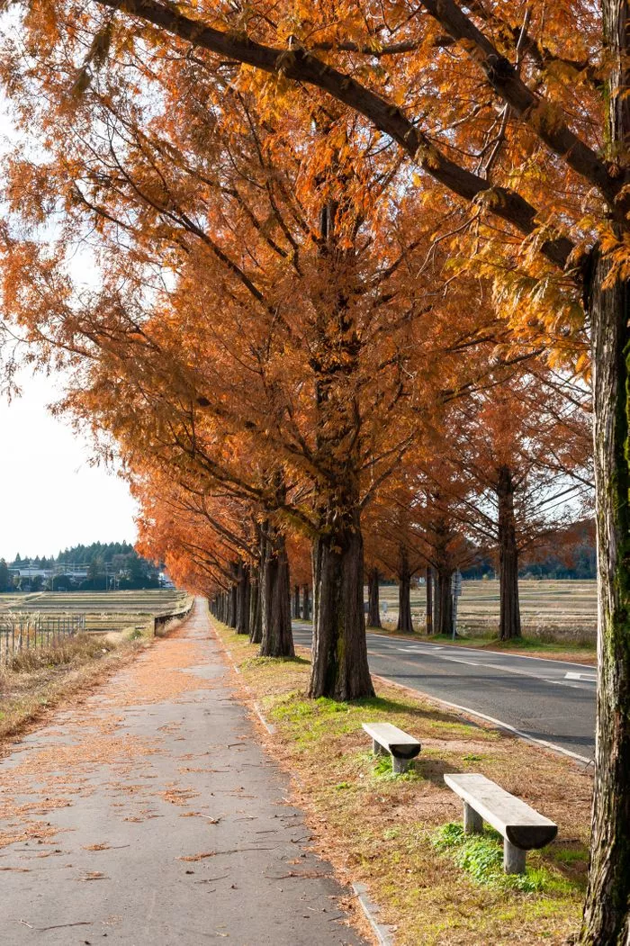 BT8QMP4amq7VF93OP3x1hbMYv9siNvnHseeJsgZwp230ku0vdA=.webp BT8QMP4amq7VF93OP3x1hbMYv9siNvnHseeJsgZwp230ku0vdA=.webp