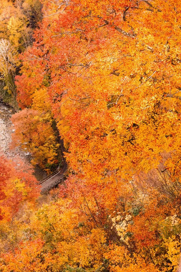 v08a1yFSgztzJsH4eESct+iAExGXm2yXmHdig232A0VEW8FyodjjJ3wQ1HvyrCm6TkYl3ETnvXI=.webp v08a1yFSgztzJsH4eESct+iAExGXm2yXmHdig232A0VEW8FyodjjJ3wQ1HvyrCm6TkYl3ETnvXI=.webp