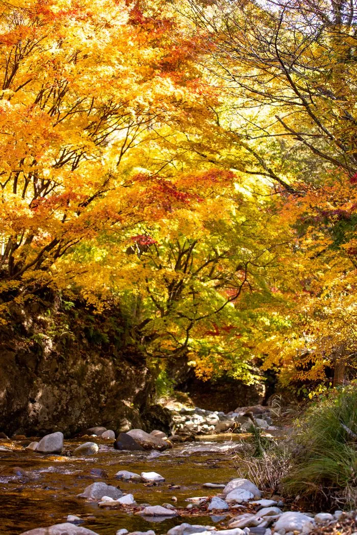 F9ZtsbwbyUtiscf0iucEPWenC0+C2TnIXJTBo=.webp F9ZtsbwbyUtiscf0iucEPWenC0+C2TnIXJTBo=.webp