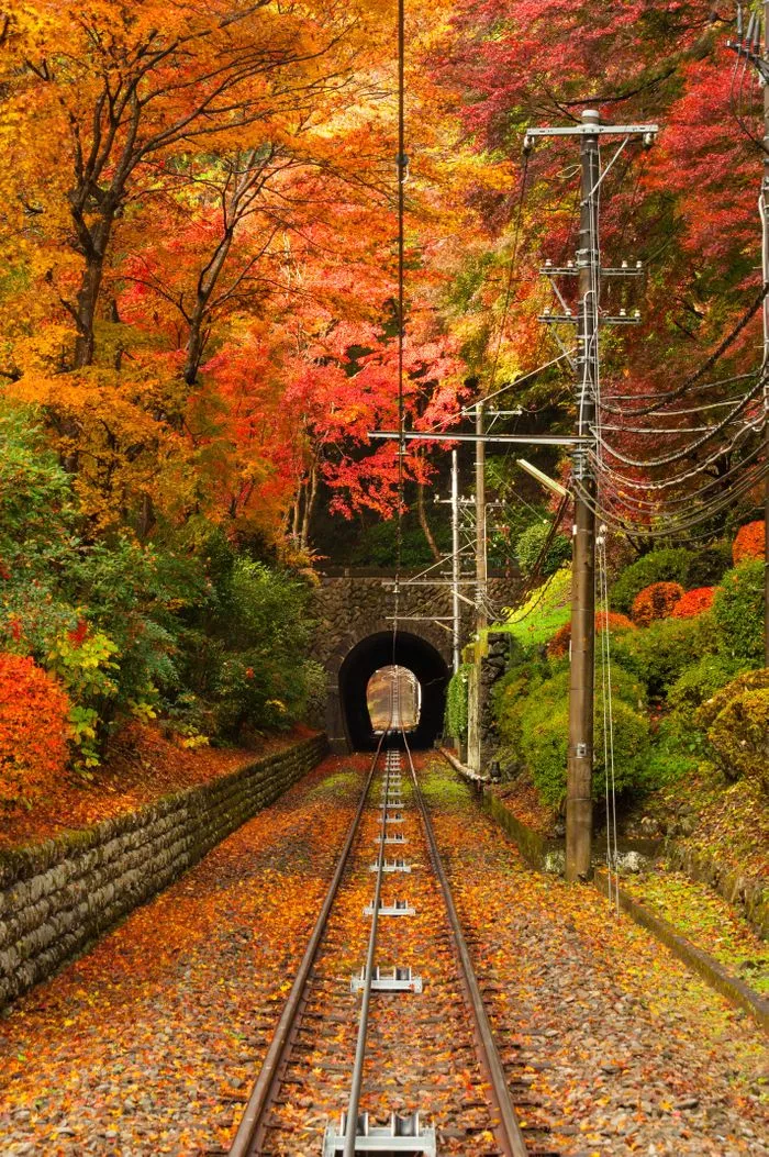 wDgAn7zI=.webp wDgAn7zI=.webp