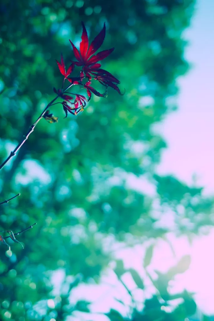 61efbae42ab3f51d91689678.webp 61efbae42ab3f51d91689678.webp